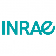 [STAGE] Offre de stage Master 2 – INRAE – AgroParisTech – Université Paris-Saclay