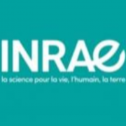 [STAGE] Evaluation des stratégies d’adaptation au changement climatique de la production viticole en Languedoc-Roussillon H/F