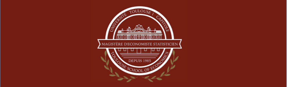Association Magistère Economiste - Statisticien